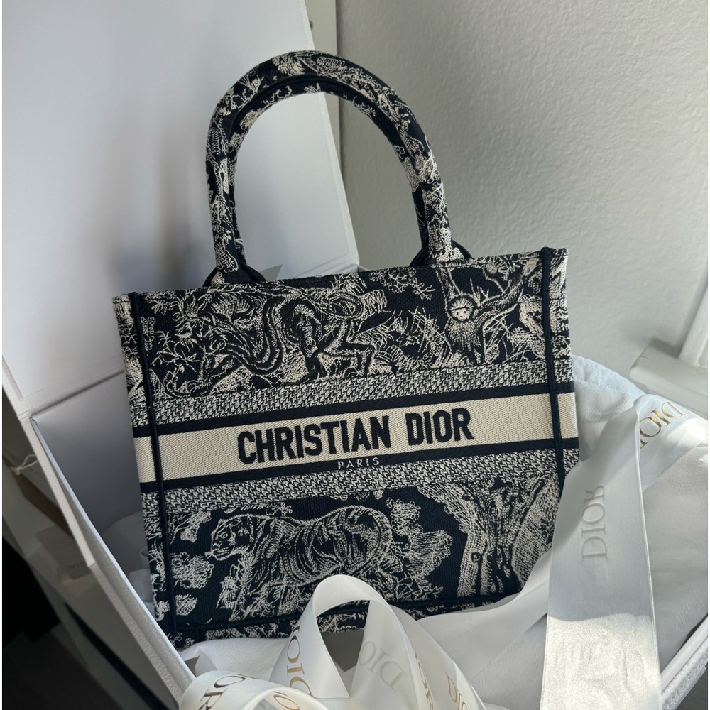 Small Dior Book Tote (Free Bag Insert)
